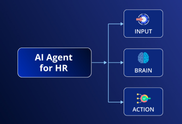 Best AI Solutions for HR Automation